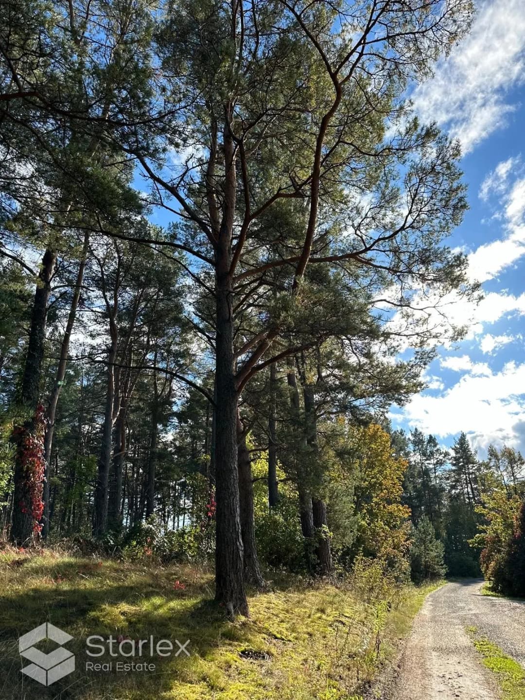 Austrumu iela 62, Kadaga, Ādažu nov. — bilde 2