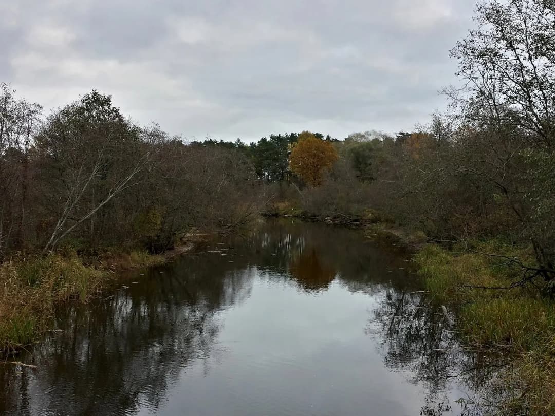 6-ist. Māja, 78㎡ - Carnikavas pagasts, Gauja — bilde 3