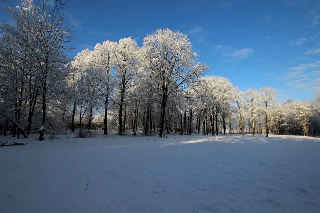Zeme, 3094㎡ - Rīga, Čiekurkalns
