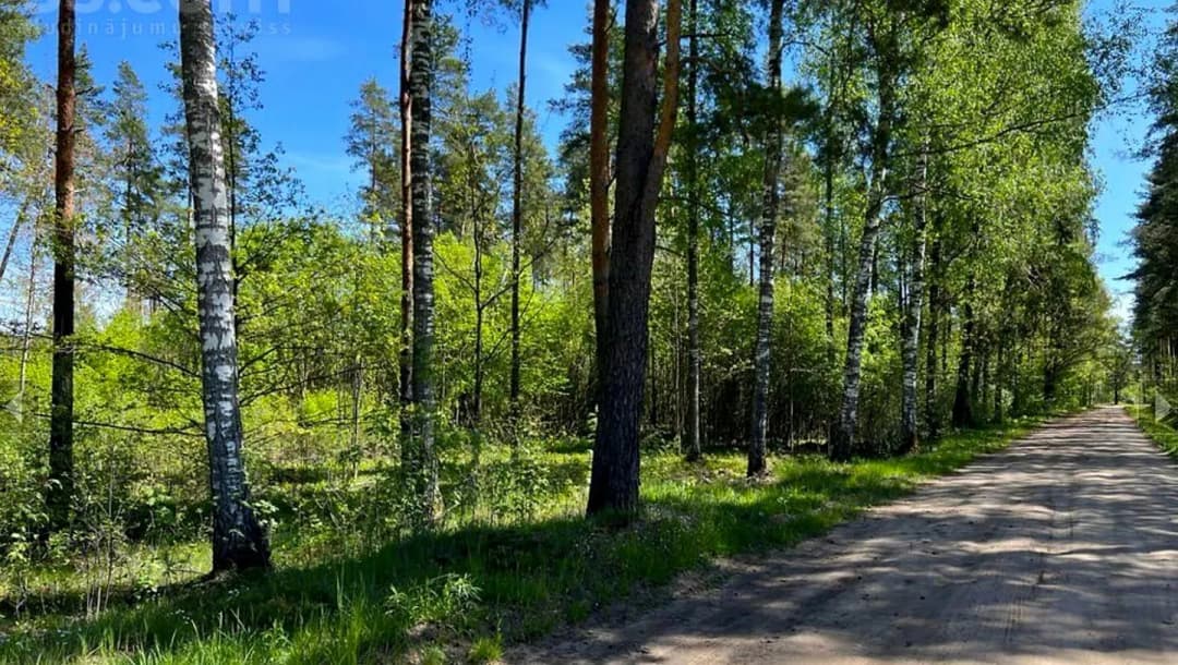 Zeme, 4007㎡ - Ķekavas pagasts, Krogsils — vēl bildes