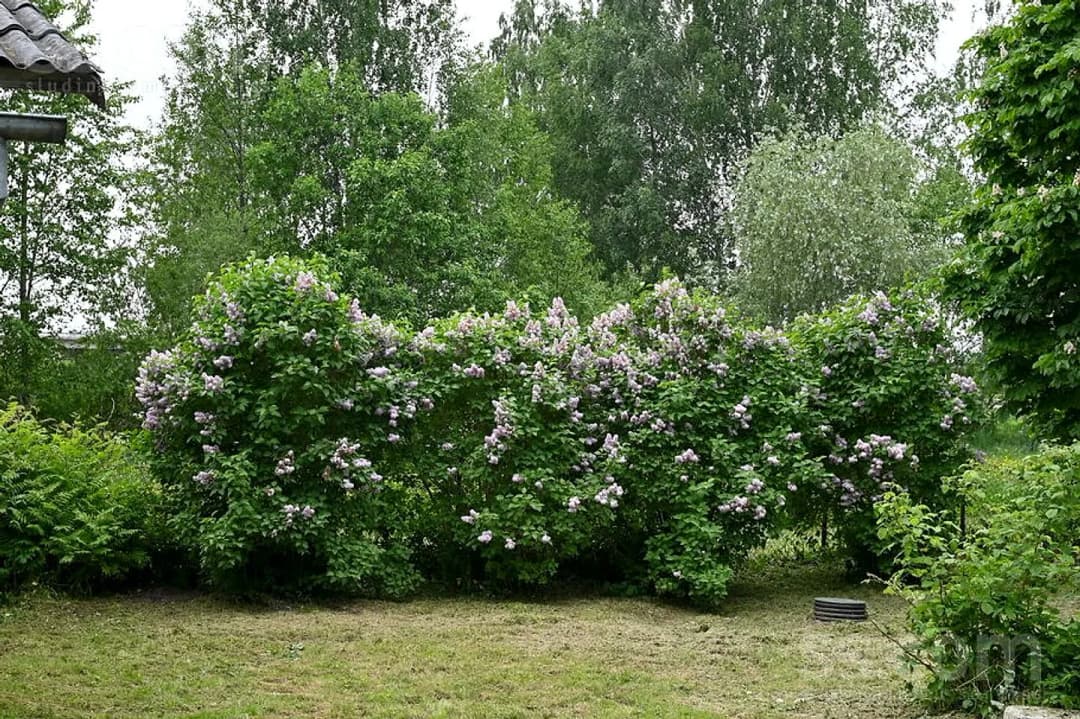Māja — Jaunatnes 18 — bilde 3