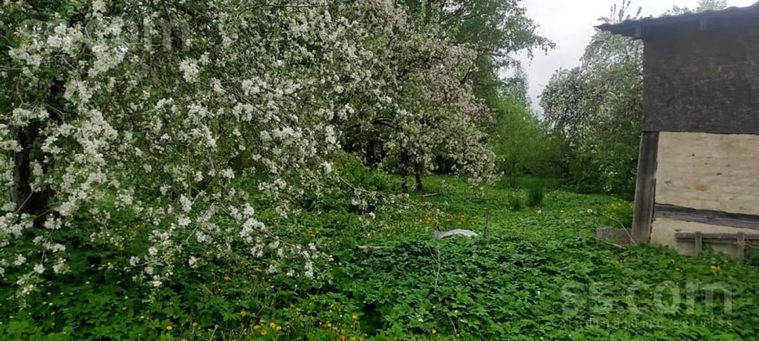 Māja — 4 Līnija 8 — bilde 3