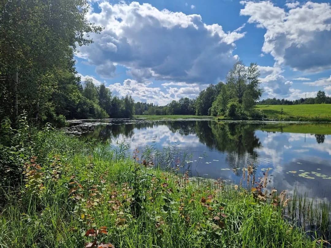 Zeme, 134000㎡ - Madonas novads, Liezēres pagasts — bilde 2