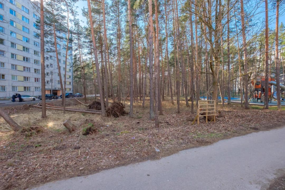 Skolas iela, Kauguri, Jūrmala — vēl bildes