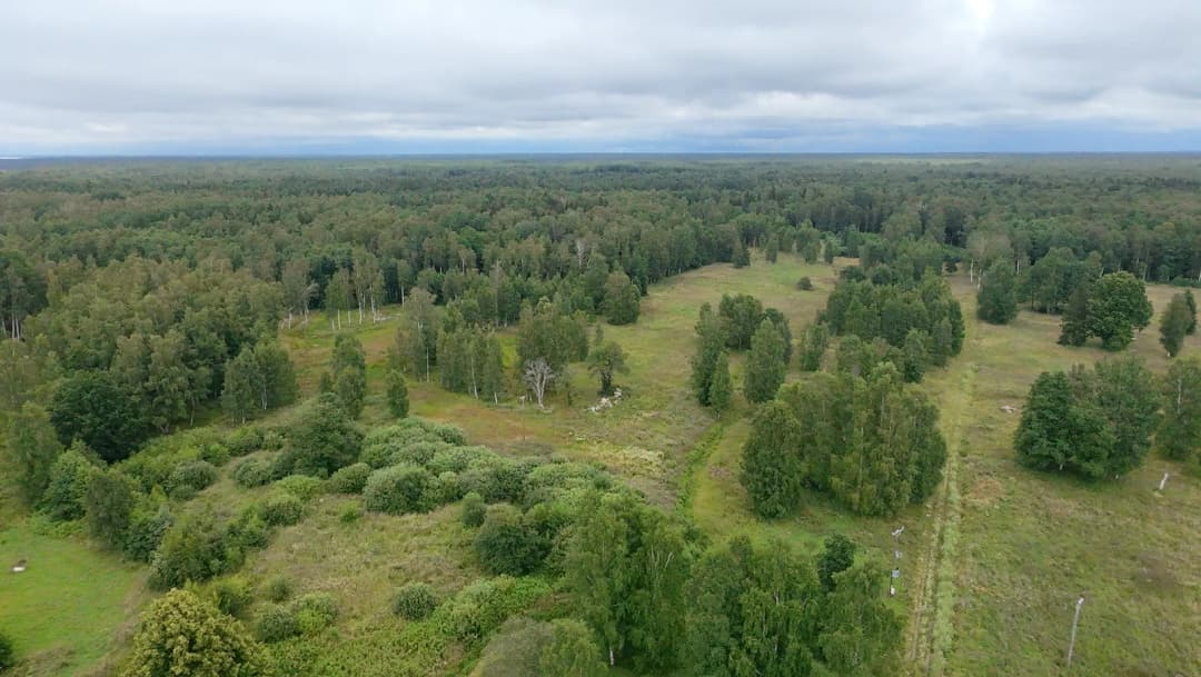 Liepupes pagasts, Limbažu novads — bilde 2