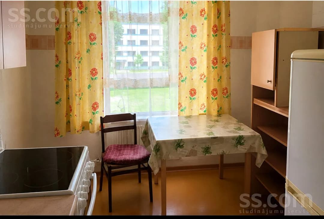 Vienistabas dzīvoklis — Stacijas iela 41 8 — bilde 2