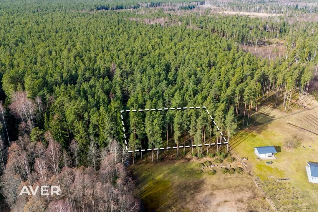 Zeme, 2657㎡ - Engures pagasts, Plieņciems — vēl bildes