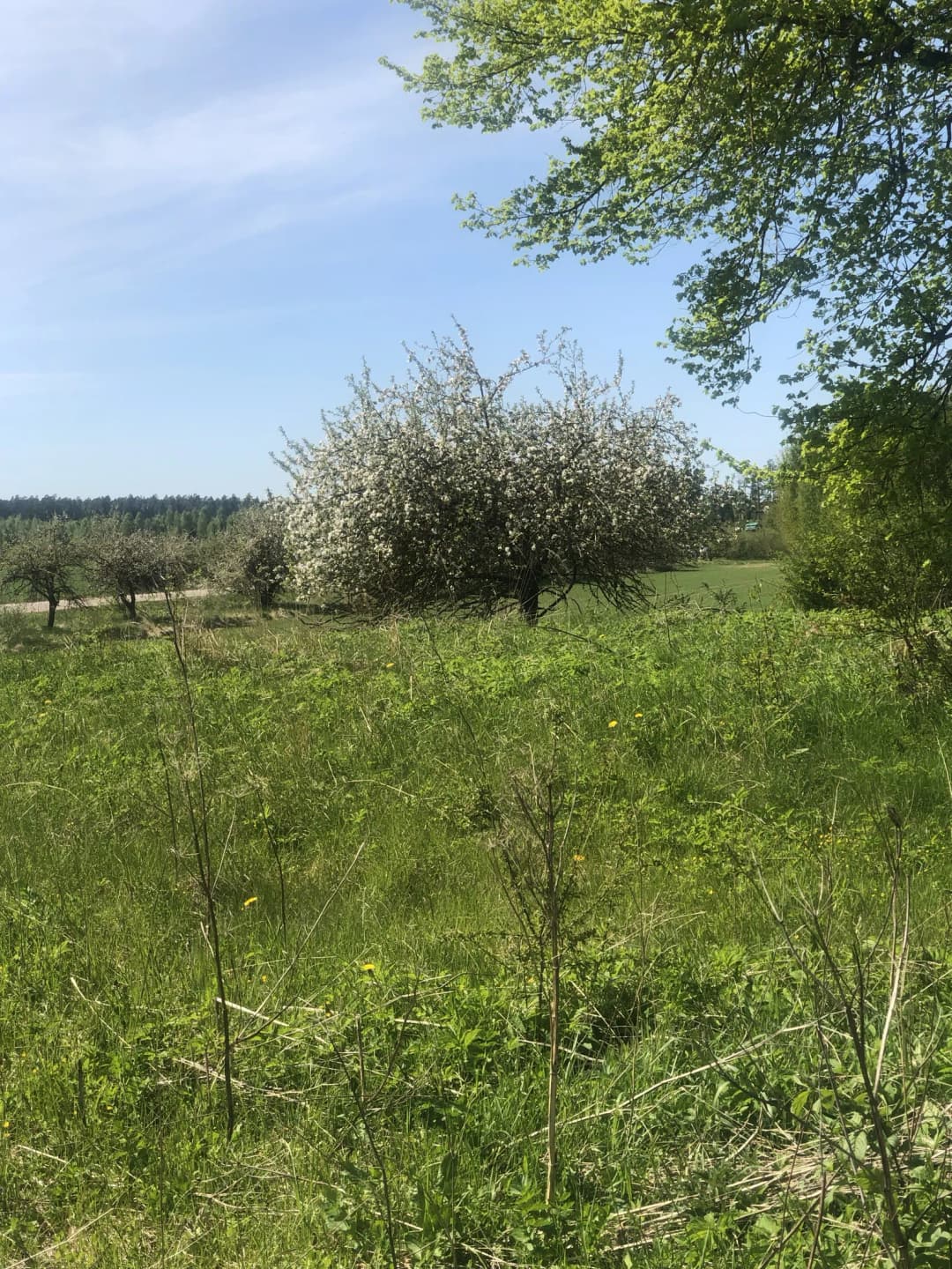 Zemītes pagasts, Tukuma novads — bilde 2