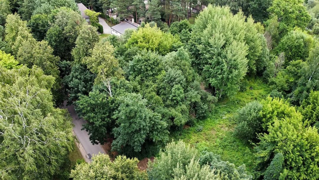 Mežaparks, Rīga — vēl bildes