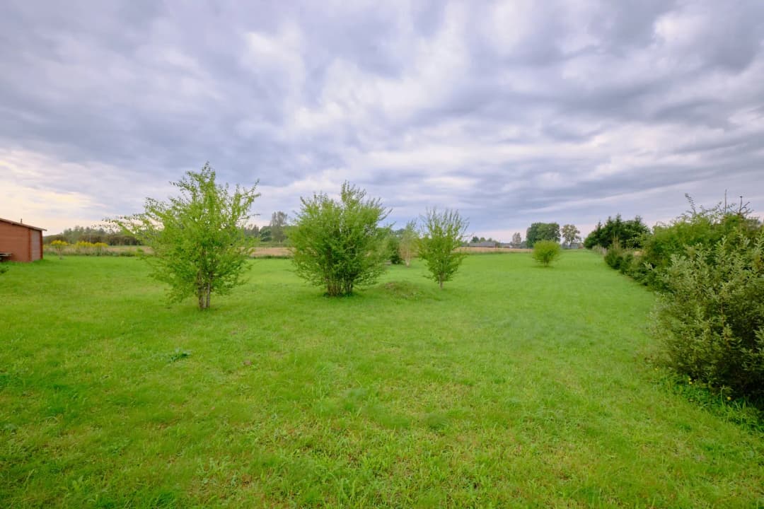 Saules iela, Sējas pagasts, Saulkrastu novads — vēl bildes