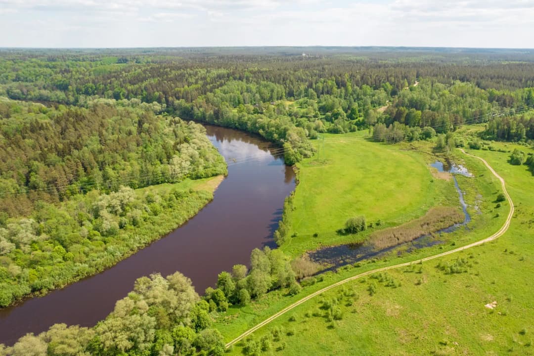 Viesulēni, Gauja, Inčukalna pagasts — bilde 3