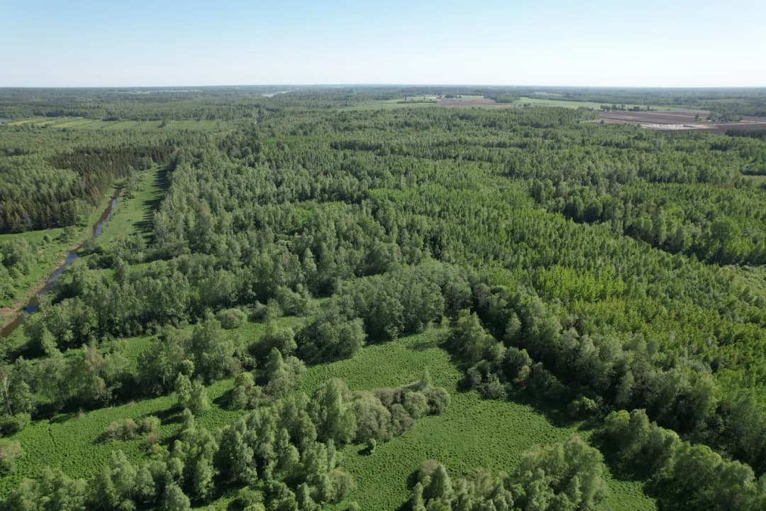 Viļķenes pagasts, Limbažu novads — bilde 2