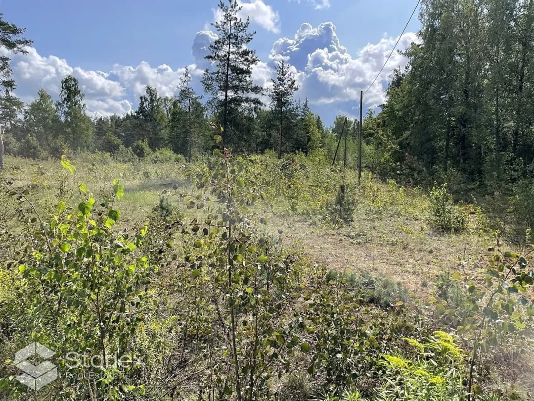 Zeme, 47800㎡ - Stopiņu pagasts, Rumbula — bilde 2