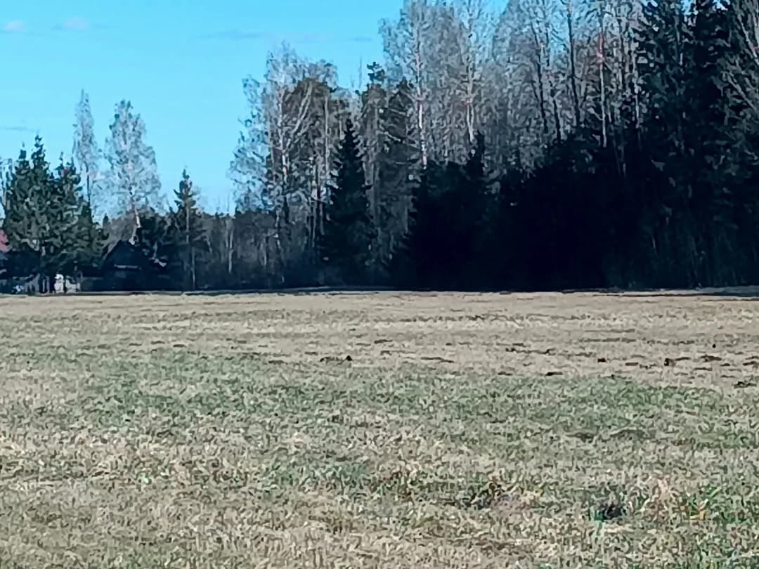 Tīnūžu pagasts, Ikšķiles novads — bilde 2