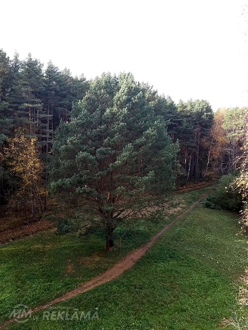 Dzīvoklis Jūrmalā, Kauguros, 54 м², 2 ist., 4 stāvs. — bilde 4