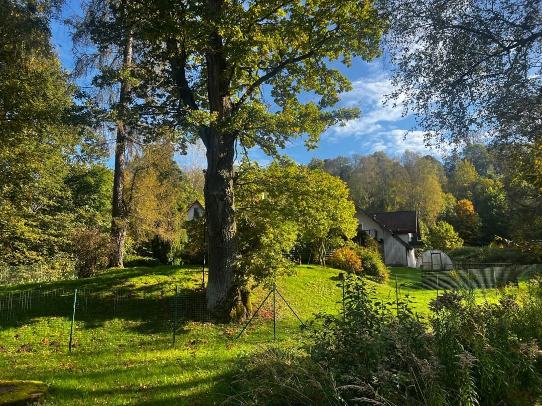 Sigulda, Siguldas novads — bilde 3