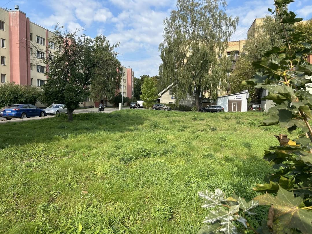 Palmu iela, Teika, Rīga