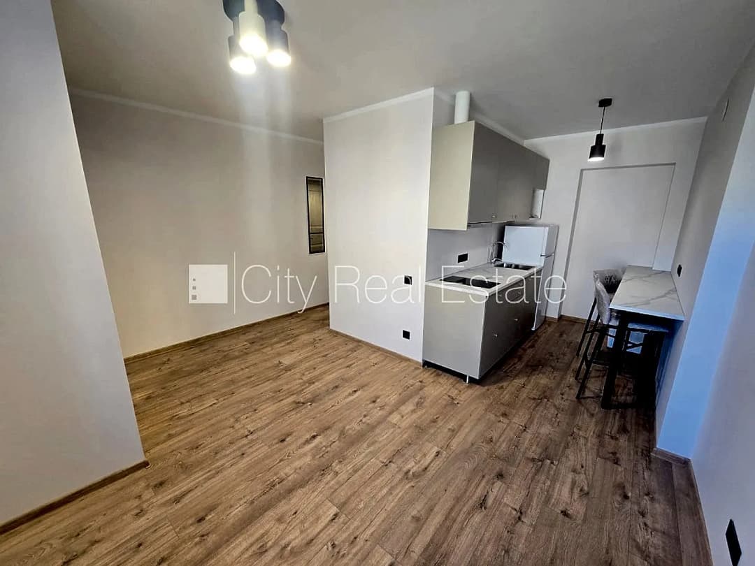 Vienistabas dzīvoklis — Tallinas iela 35
