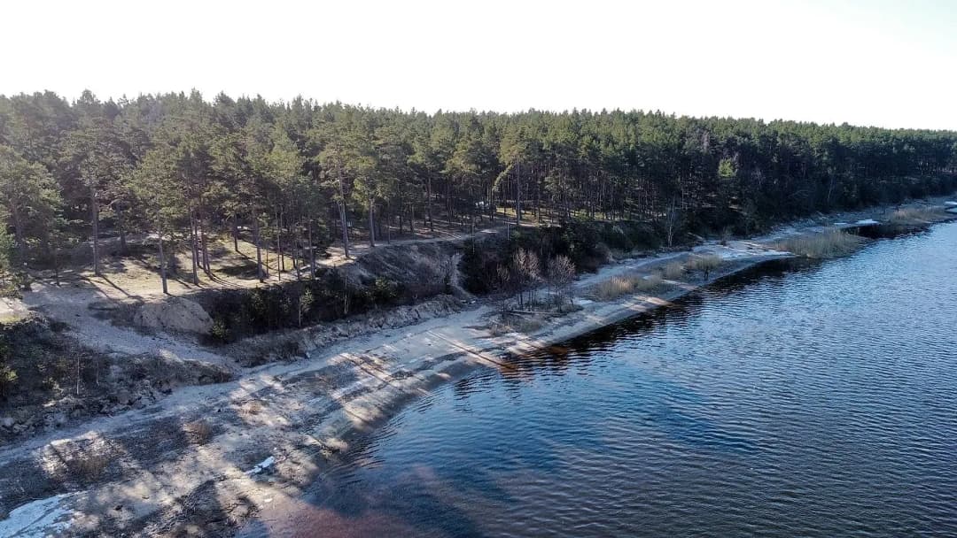Priedaine, Jūrmala — bilde 2