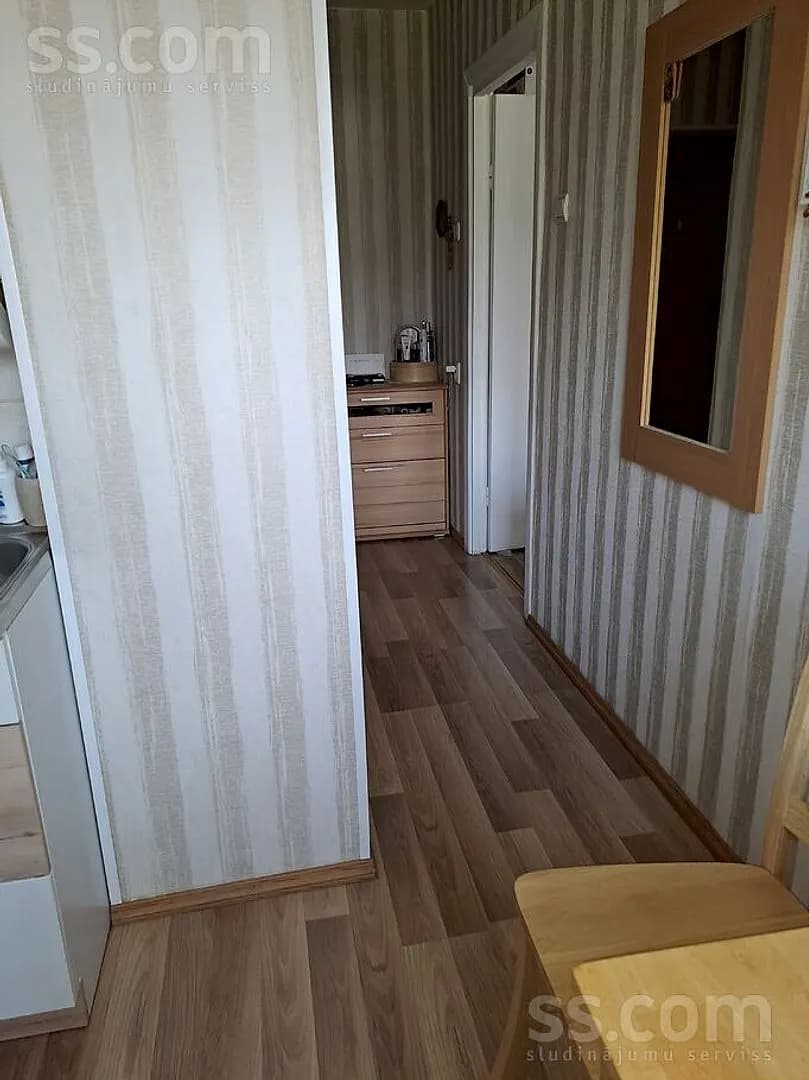 Vienistabas dzīvoklis — Višķu 13 — bilde 2