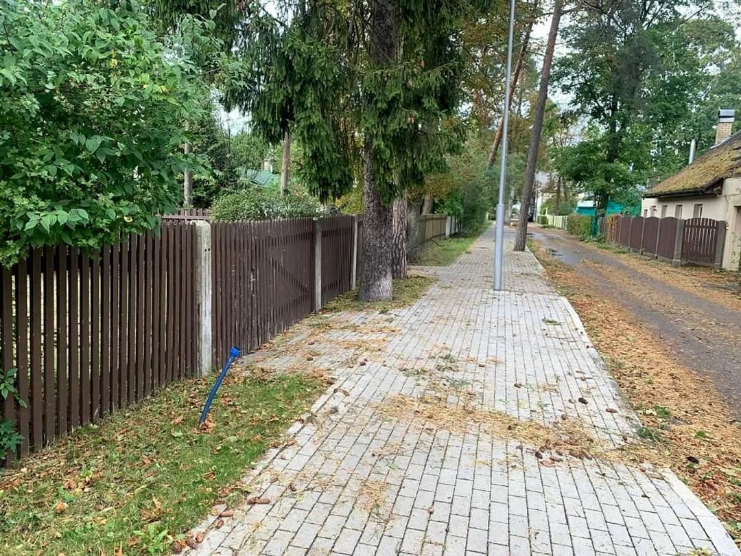 Viļuma, Dzintari — bilde 2