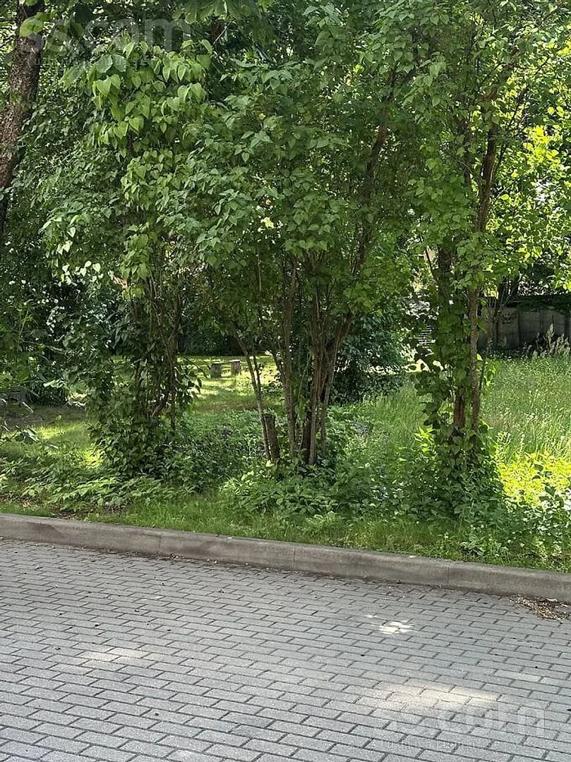 Divistabu dzīvoklis — Kalnciema 48 — vēl bildes