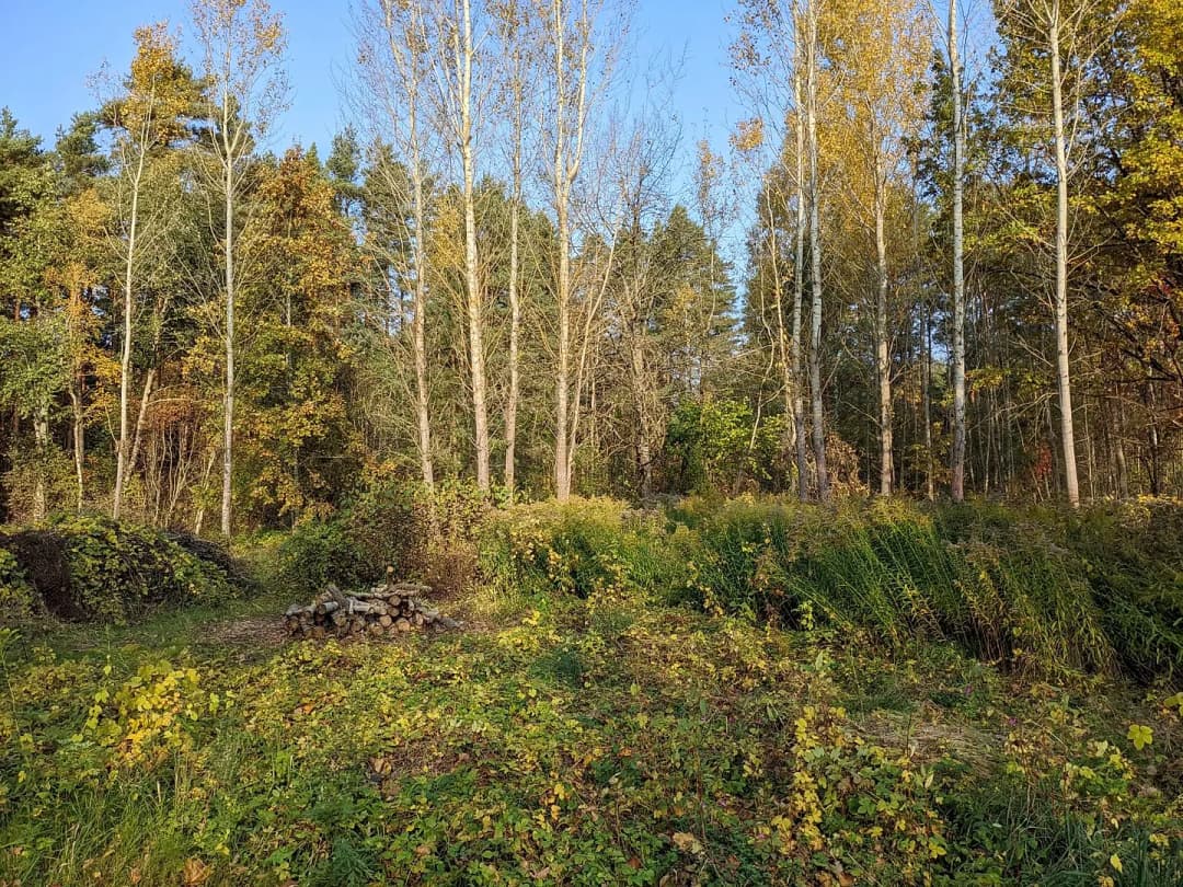 Zeme, 2196㎡ - Jūrmala, Kaugurciems — bilde 3