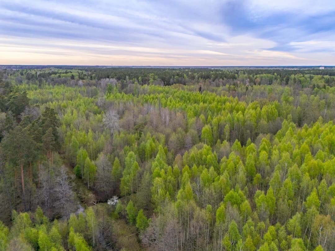 Stapriņi, Ādažu pagasts