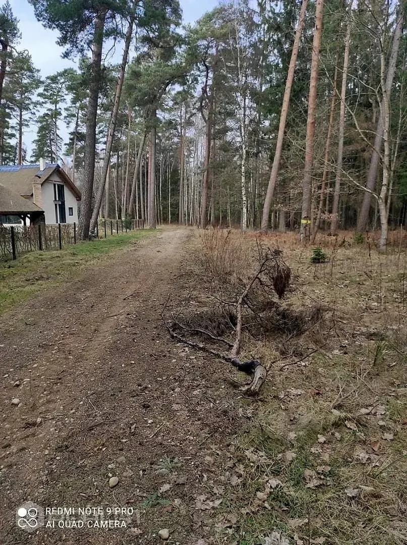 Zeme, 4390.00㎡ - Dienvidkurzemes novads, Grobiņa — bilde 4