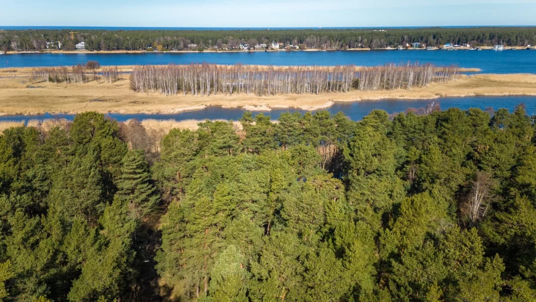 Mārupes iela, Priedaine, Jūrmala — vēl bildes