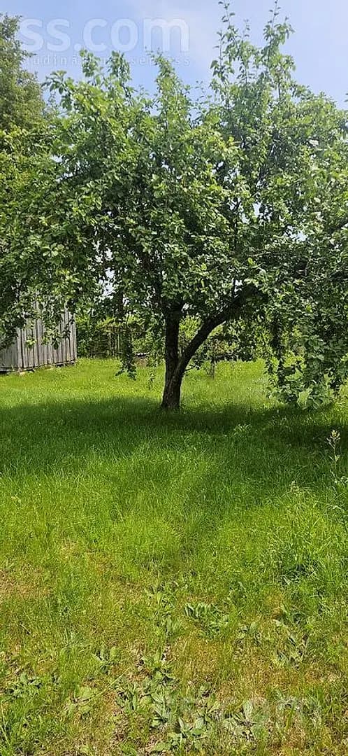 Māja — Smilšu 10 — bilde 2