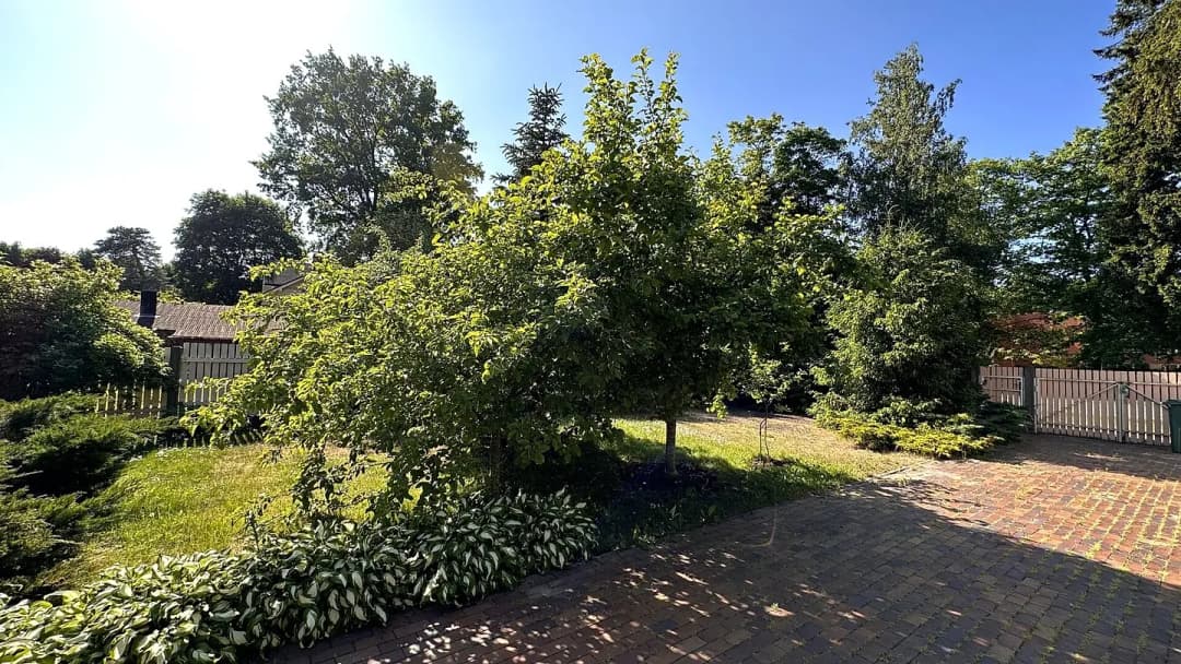 4-ist. Māja, 140㎡ - Jūrmala, Jaundubulti — bilde 4