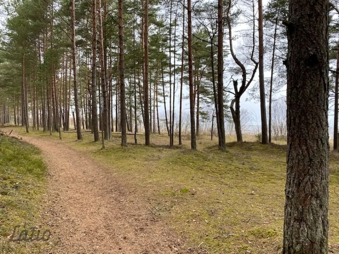Kauguri, Jūrmala — vēl bildes