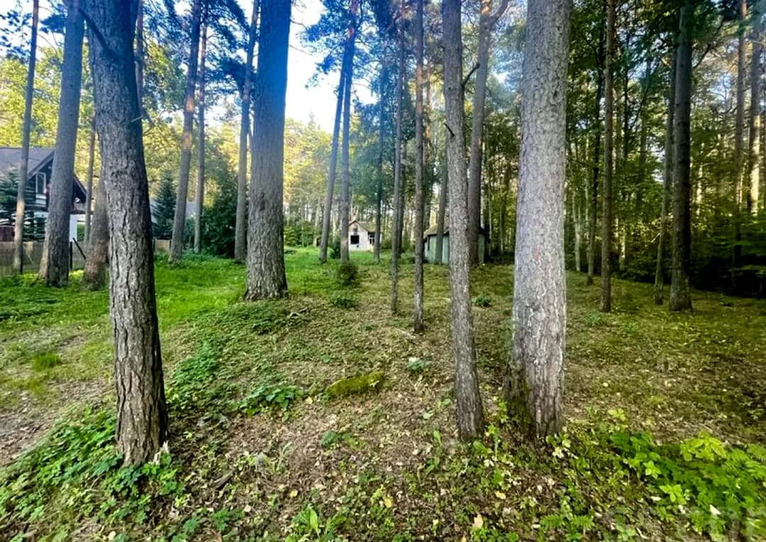 Zeme, 1713㎡ - Jūrmala, Druvciems — bilde 3
