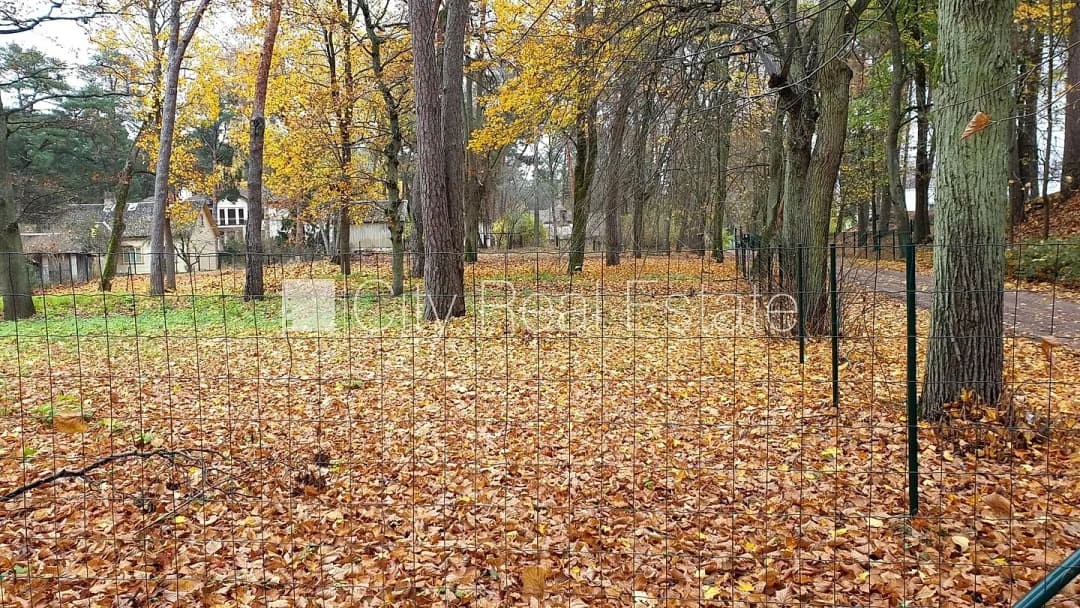 Melluži, Jūrmala — vēl bildes