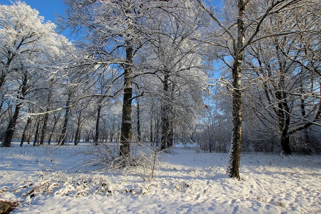 Zeme, 3094㎡ - Rīga, Čiekurkalns — vēl bildes